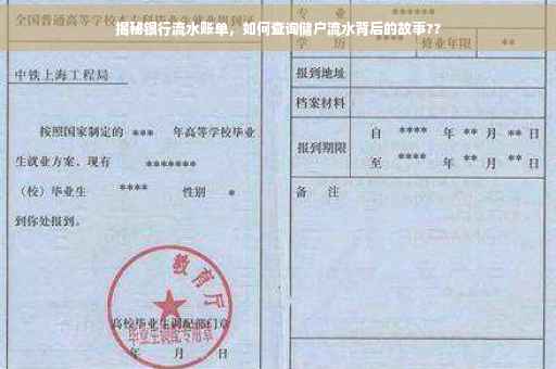 揭秘银行流水账单，如何查询储户流水背后的故事??