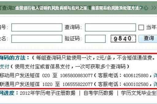 虚假银行收入证明的风险真相与应对之策，揭露背后的风险及处理方法?
