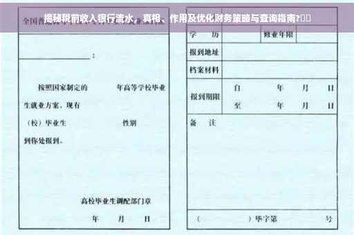 揭秘税前收入银行流水，真相、作用及优化财务策略与查询指南?⚡️