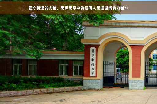 爱心传递的力量，无声无息中的证明人见证温情的力量??