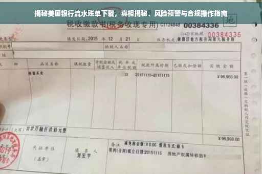 揭秘美国银行流水账单下载，真相揭秘、风险预警与合规操作指南