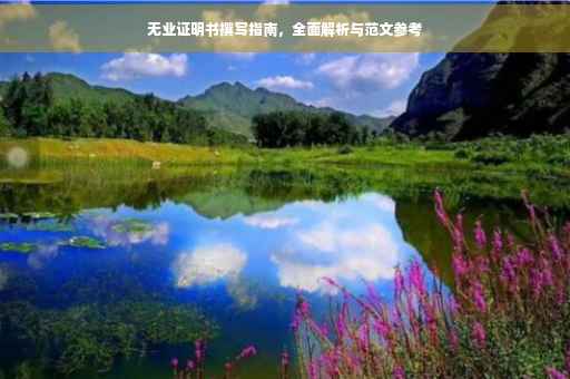 无业证明书撰写指南，全面解析与范文参考