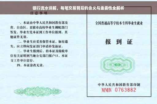 银行流水详解，每笔交易背后的含义与重要性全解析