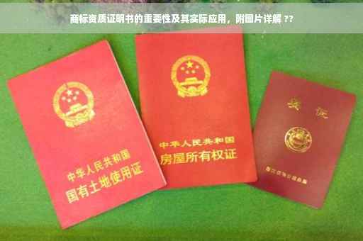 商标资质证明书的重要性及其实际应用，附图片详解 ??