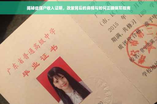 揭秘低保户收入证明，政策背后的真相与如何正确撰写指南