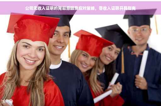 公司无收入证明的背后原因及应对策略，零收入证明开具指南