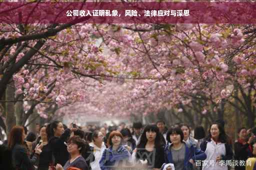 公司收入证明乱象，风险、法律应对与深思