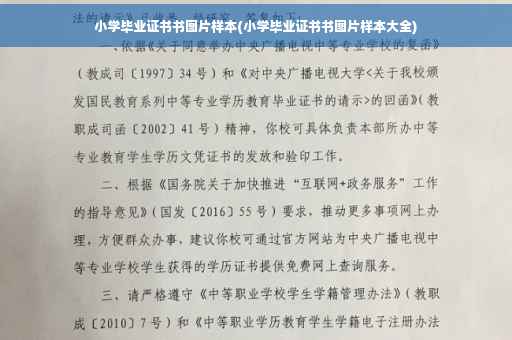 小学毕业证书书图片样本(小学毕业证书书图片样本大全)
