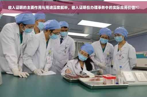 收入证明的主要作用与用途深度解析，收入证明在办理事务中的实际应用价值?✨