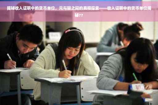 揭秘收入证明中的货币单位，元与圆之间的真相探索——收入证明中的货币单位揭秘??