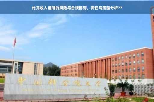 代开收入证明的风险与合规博弈，责任与策略分析??