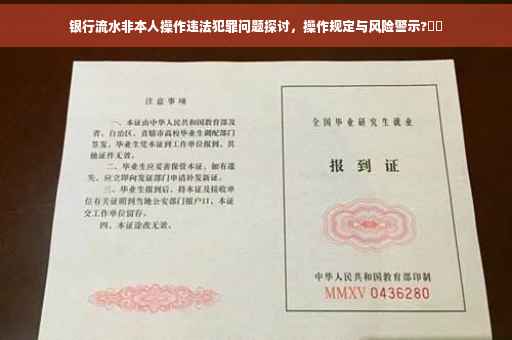 银行流水非本人操作违法犯罪问题探讨，操作规定与风险警示?⚡️