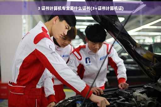 3 证书计算机专业要什么证书(3+证书计算机证)