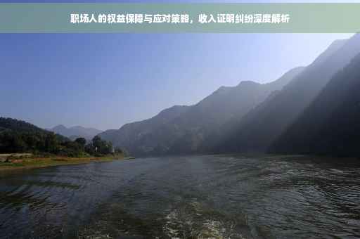 职场人的权益保障与应对策略，收入证明纠纷深度解析