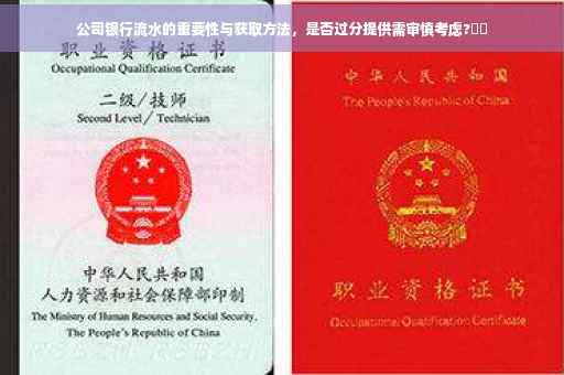 公司银行流水的重要性与获取方法，是否过分提供需审慎考虑?⚡️