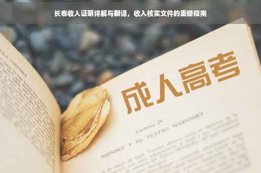 长春收入证明详解与翻译，收入核实文件的重磅指南