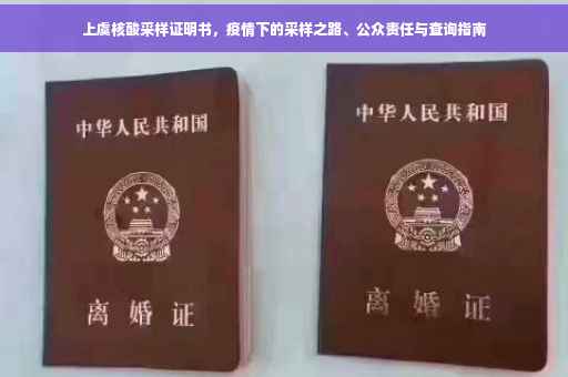 上虞核酸采样证明书，疫情下的采样之路、公众责任与查询指南
