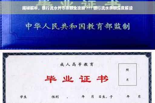 揭秘解析，银行流水外币余额全攻略 ??? 银行流水余额深度解读