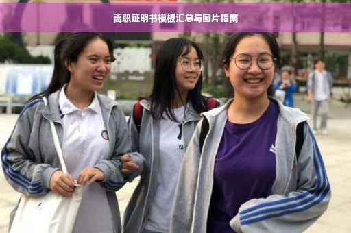 离职证明书模板汇总与图片指南