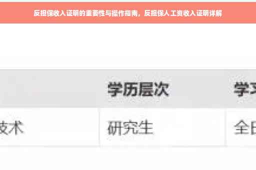 反担保收入证明的重要性与操作指南，反担保人工资收入证明详解