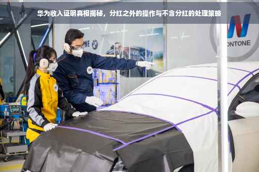 华为收入证明真相揭秘，分红之外的操作与不含分红的处理策略