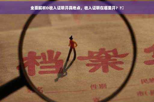 全面解析D收入证明开具地点，收入证明在哪里开？?✨