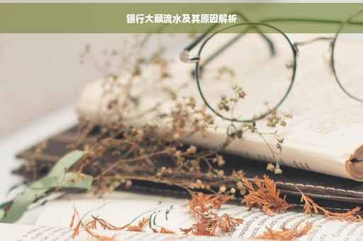 银行大额流水及其原因解析