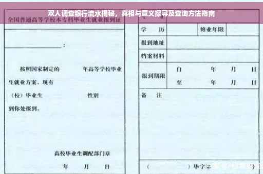 双人调查银行流水揭秘，真相与意义探寻及查询方法指南