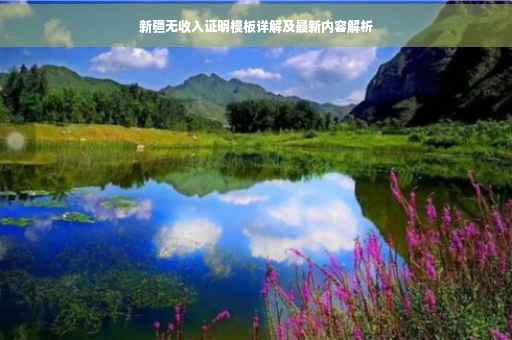 新疆无收入证明模板详解及最新内容解析