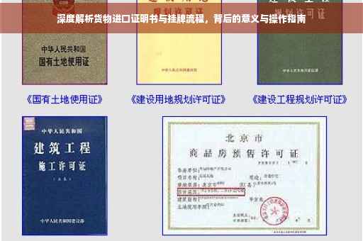 深度解析货物进口证明书与挂牌流程，背后的意义与操作指南