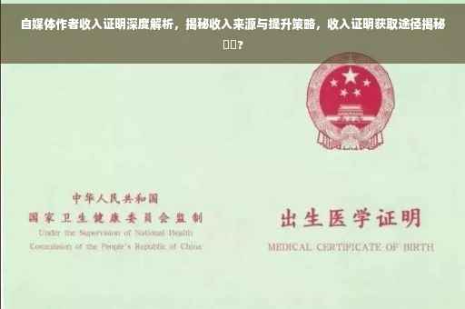 自媒体作者收入证明深度解析，揭秘收入来源与提升策略，收入证明获取途径揭秘⚡️?