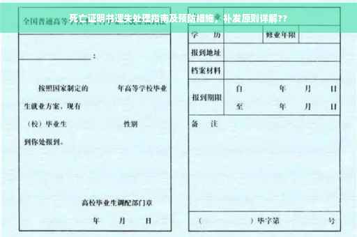 死亡证明书遗失处理指南及预防措施，补发原则详解??