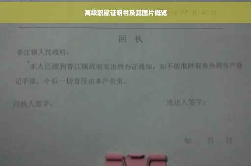 高级职称证明书及其图片概览