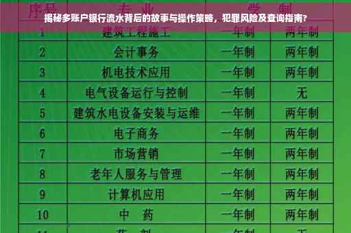 揭秘多账户银行流水背后的故事与操作策略，犯罪风险及查询指南?