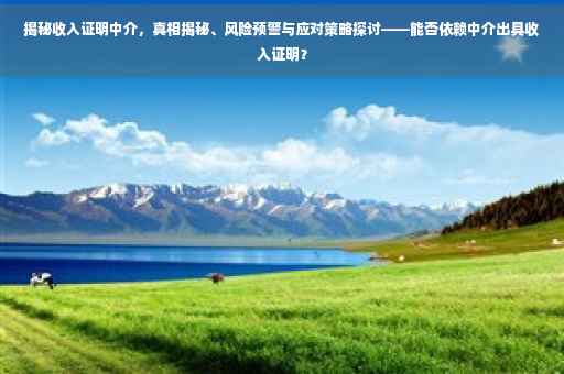 揭秘收入证明中介，真相揭秘、风险预警与应对策略探讨——能否依赖中介出具收入证明？