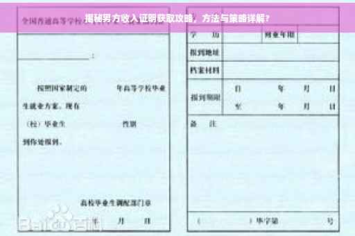 揭秘男方收入证明获取攻略，方法与策略详解?
