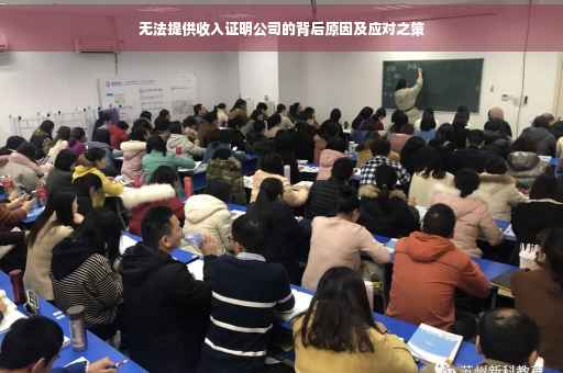 无法提供收入证明公司的背后原因及应对之策