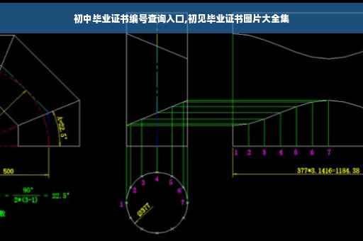 初中毕业证书编号查询入口,初见毕业证书图片大全集