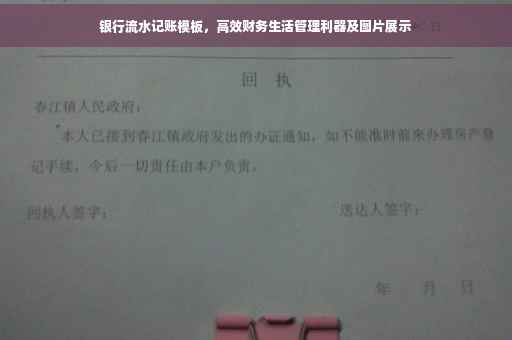 银行流水记账模板，高效财务生活管理利器及图片展示