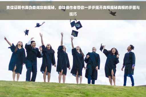 资信证明书真伪查询攻略揭秘，自媒体作者带你一步步揭开真相揭秘真相的步骤与技巧