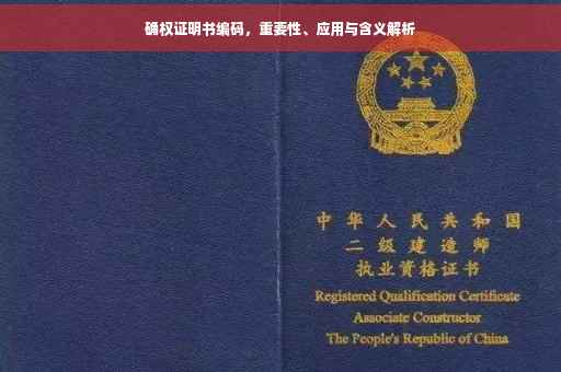 确权证明书编码，重要性、应用与含义解析