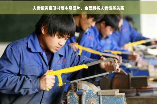 夫妻债务证明书范本及图片，全面解析夫妻债务关系