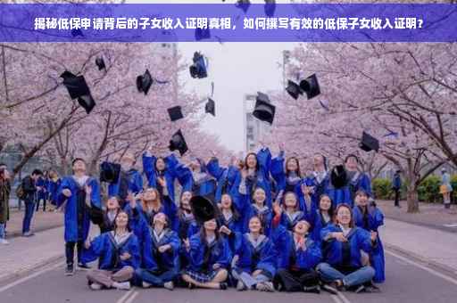 揭秘低保申请背后的子女收入证明真相，如何撰写有效的低保子女收入证明？