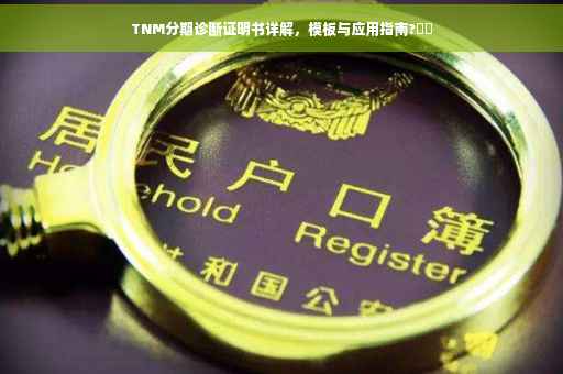 TNM分期诊断证明书详解，模板与应用指南?⚡️