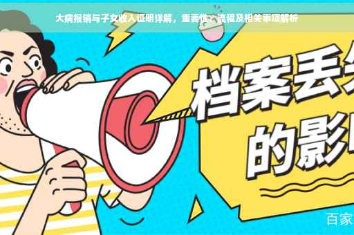 大病报销与子女收入证明详解，重要性、流程及相关事项解析