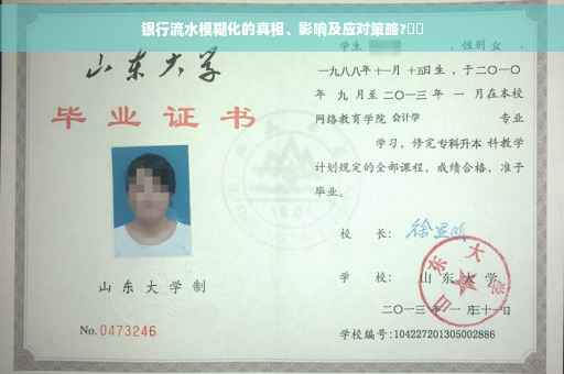 银行流水模糊化的真相、影响及应对策略?⚡️