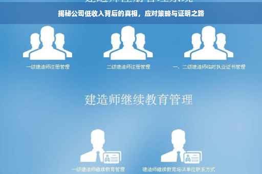 揭秘公司低收入背后的真相，应对策略与证明之路