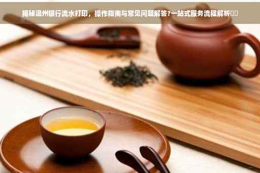 揭秘温州银行流水打印，操作指南与常见问题解答?一站式服务流程解析⚡️