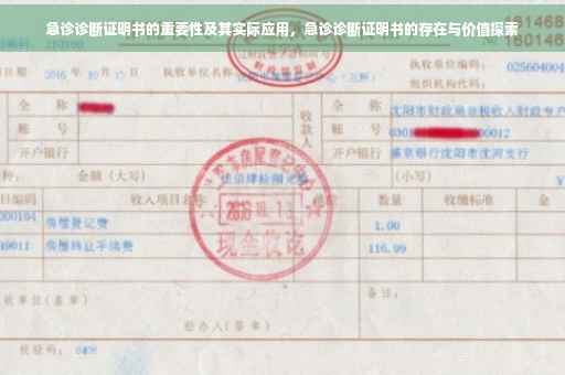 急诊诊断证明书的重要性及其实际应用，急诊诊断证明书的存在与价值探索