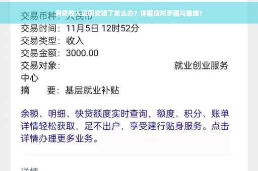 房贷收入证明交错了怎么办？详解应对步骤与策略?